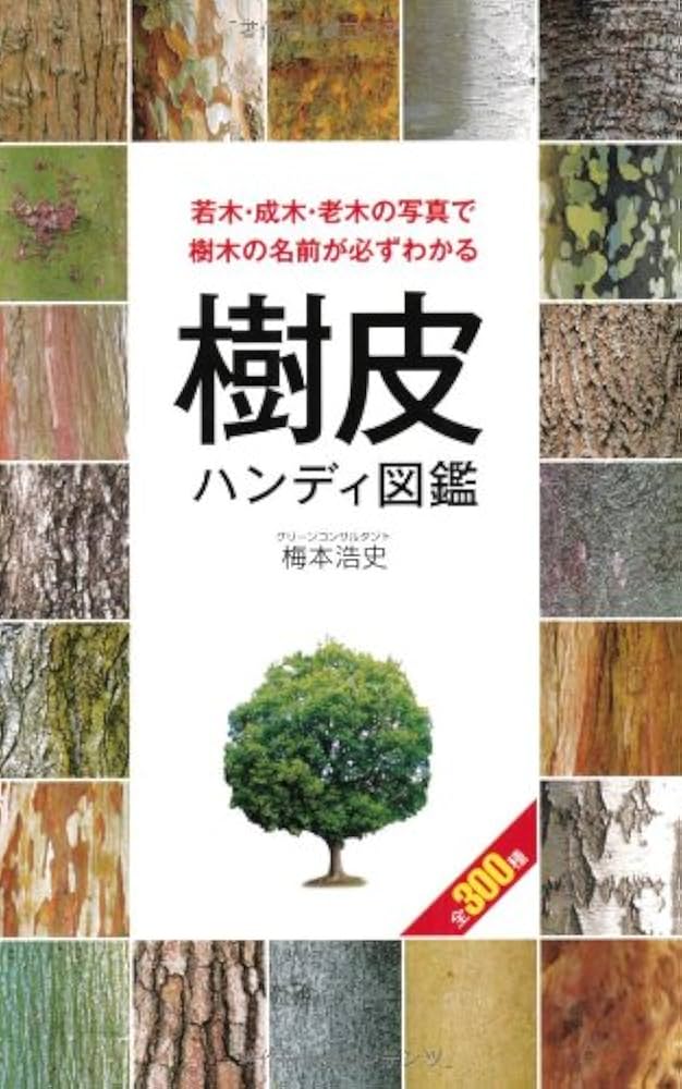 千年樹の樹皮鎧 CF L ROS028 1枚 未使用 FaB 日本語版 千年樹の樹皮鎧 CF L ROS028 1枚 FaB 日本語版 JP】〈CF〉